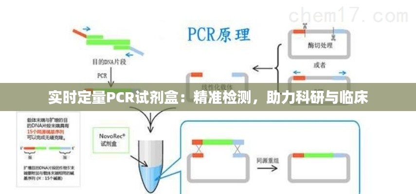 实时定量PCR试剂盒：精准检测，助力科研与临床