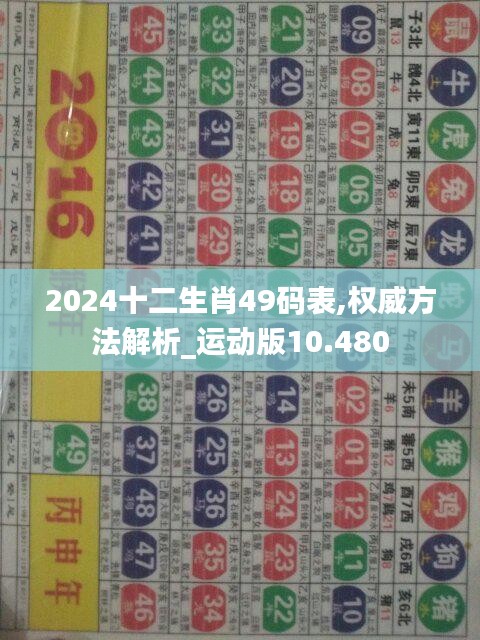 2024十二生肖49码表,权威方法解析_运动版10.480