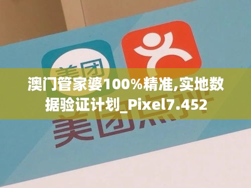 澳门管家婆100%精准,实地数据验证计划_Pixel7.452