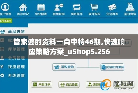 管家婆的资料一肖中特46期,快速响应策略方案_uShop5.256