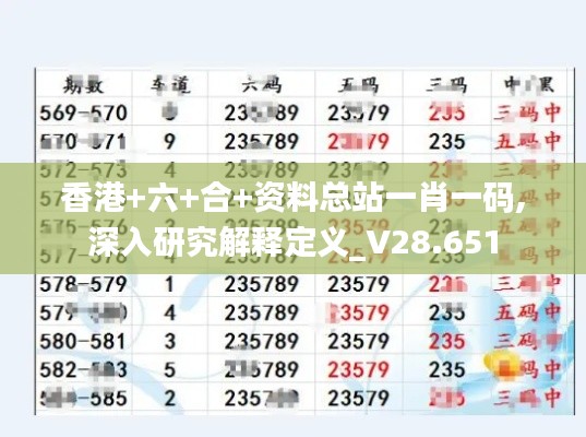 香港+六+合+资料总站一肖一码,深入研究解释定义_V28.651