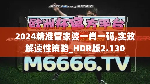 2024精准管家婆一肖一码,实效解读性策略_HDR版2.130