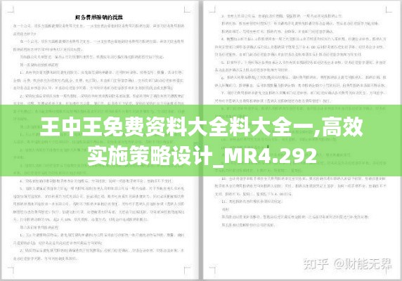 王中王免费资料大全料大全一,高效实施策略设计_MR4.292