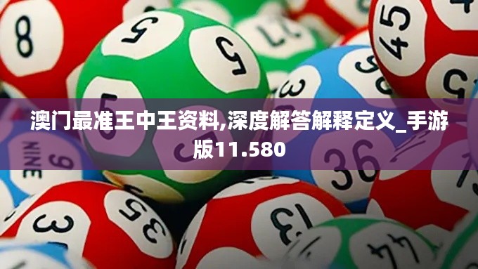 澳门最准王中王资料,深度解答解释定义_手游版11.580