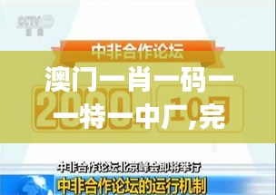 澳门一肖一码一一特一中厂,完善的执行机制分析_尊贵款5.493