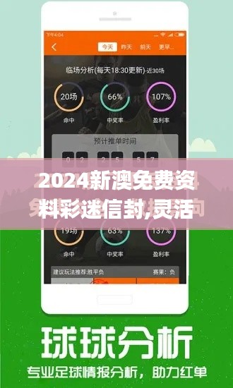 2024新澳免费资料彩迷信封,灵活实施计划_交互版15.318