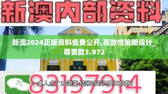 新澳2024正版资料免费公开,高效性策略设计_尊贵款3.972