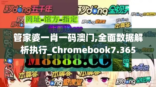 管家婆一肖一码澳门,全面数据解析执行_Chromebook7.365