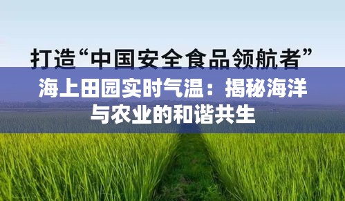 海上田园实时气温：揭秘海洋与农业的和谐共生