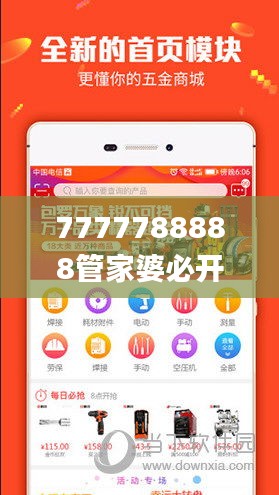 7777788888管家婆必开一肖,综合计划定义评估_WP12.702