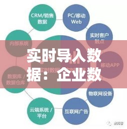 实时导入数据：企业数据驱动的未来之路