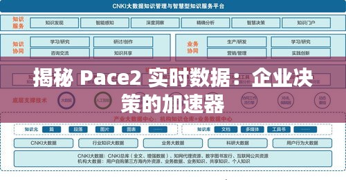 揭秘 Pace2 实时数据：企业决策的加速器