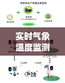 实时气象温度监测：科技守护我们的“温度”生活