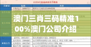 澳门三肖三码精准100%澳门公司介绍,稳定评估计划_开发版4.175