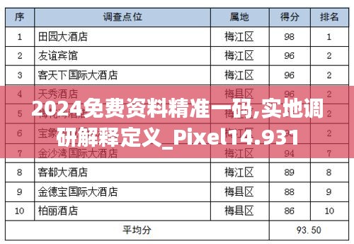 2024免费资料精准一码,实地调研解释定义_Pixel14.931