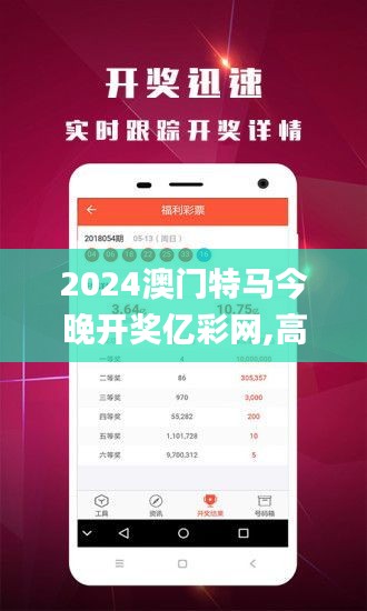 2024澳门特马今晚开奖亿彩网,高效解析方法_复古款9.950