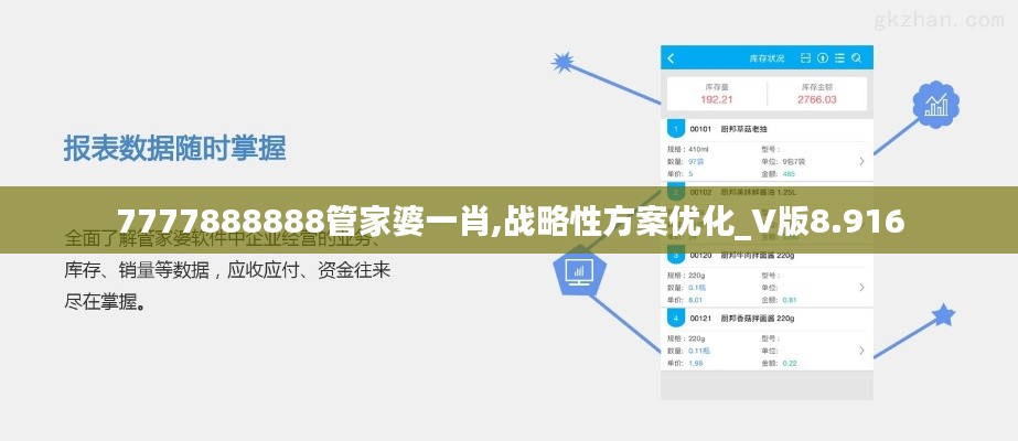 7777888888管家婆一肖,战略性方案优化_V版8.916