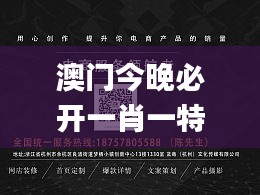 澳门今晚必开一肖一特,实证研究解释定义_网页款1.633