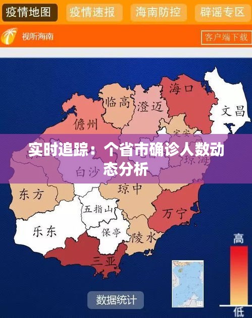 实时追踪：个省市确诊人数动态分析