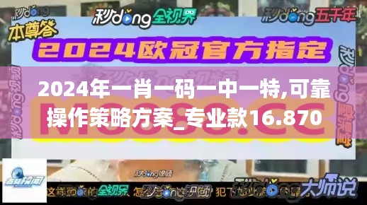 2024年一肖一码一中一特,可靠操作策略方案_专业款16.870