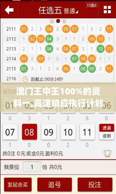 澳门王中王100%的资料一,高速响应执行计划_网红版9.486