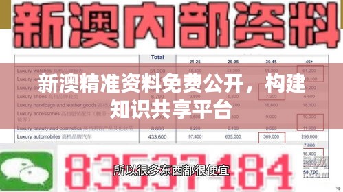 新澳精准资料免费公开，构建知识共享平台