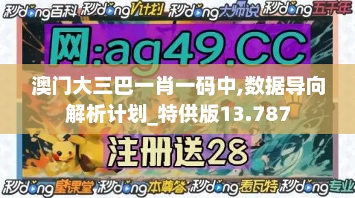 澳门大三巴一肖一码中,数据导向解析计划_特供版13.787