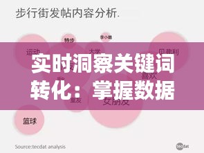 实时洞察关键词转化：掌握数据背后的秘密