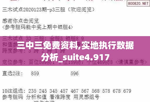 三中三免费资料,实地执行数据分析_suite4.917