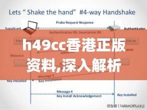 h49cc香港正版资料,深入解析应用数据_WP19.931