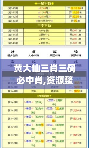 黄大仙三肖三码必中肖,资源整合实施_S6.732