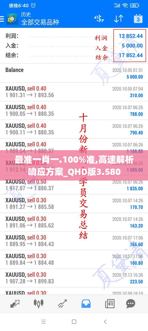 最准一肖一.100%准,高速解析响应方案_QHD版3.580