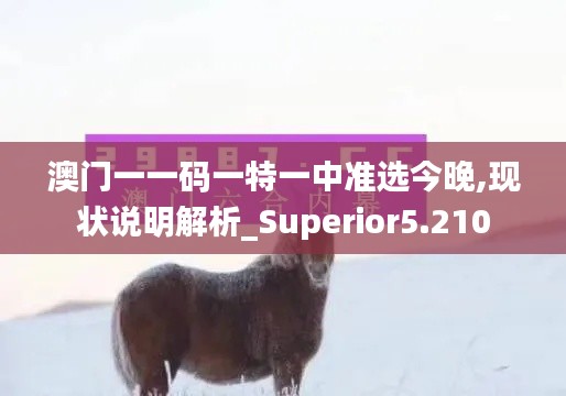 澳门一一码一特一中准选今晚,现状说明解析_Superior5.210