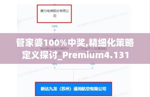 管家婆100%中奖,精细化策略定义探讨_Premium4.131