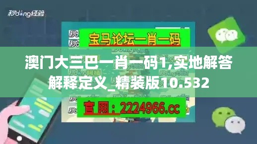 澳门大三巴一肖一码1,实地解答解释定义_精装版10.532