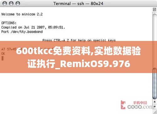 600tkcc免费资料,实地数据验证执行_RemixOS9.976