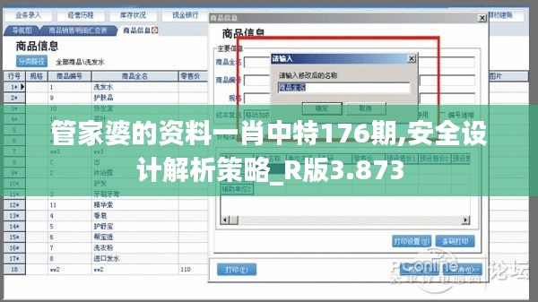 管家婆的资料一肖中特176期,安全设计解析策略_R版3.873