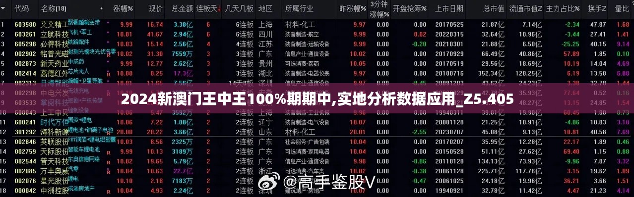 2024新澳门王中王100%期期中,实地分析数据应用_Z5.405