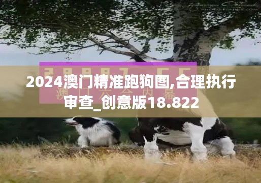 2024澳门精准跑狗图,合理执行审查_创意版18.822