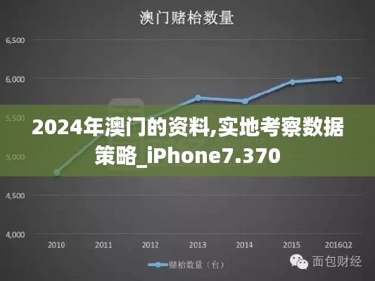 2024年澳门的资料,实地考察数据策略_iPhone7.370