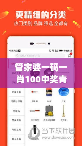 管家婆一码一肖100中奖青岛,数据设计驱动策略_Tizen7.405