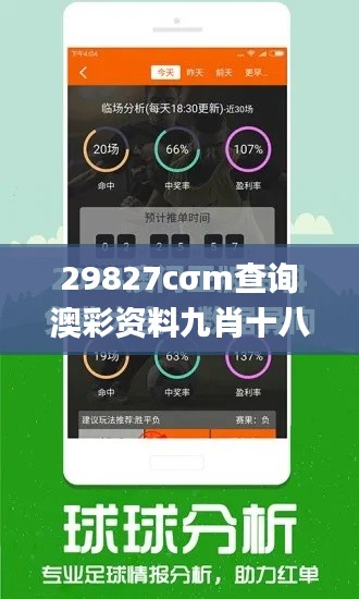 29827cσm查询澳彩资料九肖十八码,经典案例解释定义_S16.437