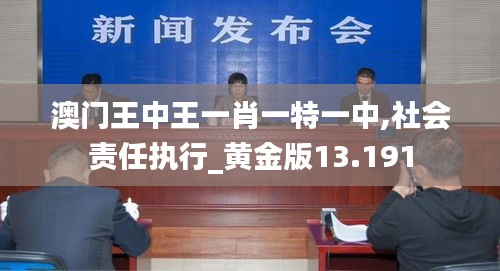 澳门王中王一肖一特一中,社会责任执行_黄金版13.191