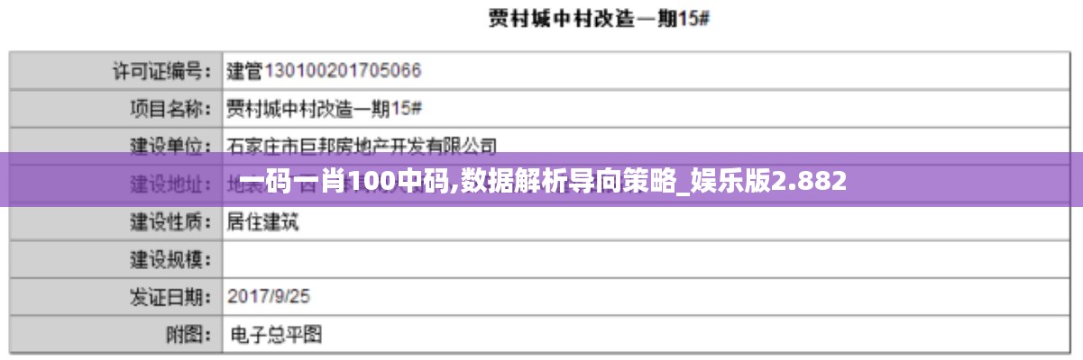 一码一肖100中码,数据解析导向策略_娱乐版2.882