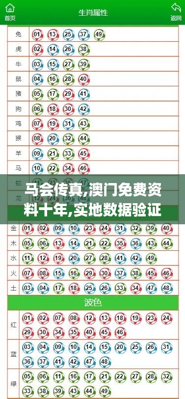 马会传真,澳门免费资料十年,实地数据验证执行_交互版6.402