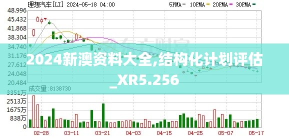 2024新澳资料大全,结构化计划评估_XR5.256