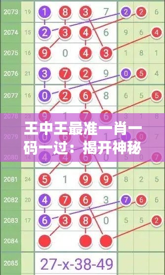 王中王最准一肖一码一过：揭开神秘面纱，探究真实效果