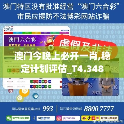 澳门今晚上必开一肖,稳定计划评估_T4.348