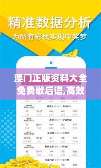 澳门正版资料大全免费歇后语,高效计划设计实施_运动版8.841