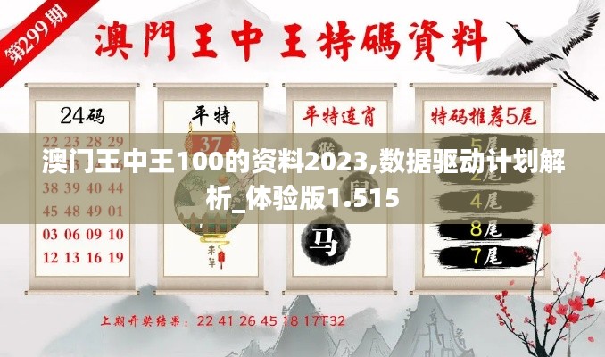 澳门王中王100的资料2023,数据驱动计划解析_体验版1.515